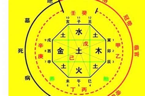 忌神 土|五行忌神是什么意思？金木水火土各自为忌神有什么影响呢？